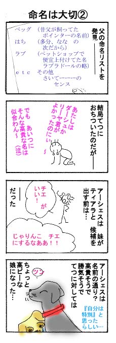4�R�}�����͑�؂Q