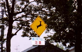�ޗǂ̎��̕W��